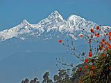 Manaslu 01 02 Himal Chuli From Top Of Hill On The Way To Arughat We stopped at the top of the ridge on the road to Arughat, and had a beautiful view of Himal Chuli (7893m) in the middle, Himal Chuli West (7540m) on the left, and Baudha Peak (6672m) on the right. The first ascent of Himal Chuli was on May 24, 1960 by Japanese Hisashi Tanabe and Masahiro Harada. Himal Chili West Peak was first climbed on May 7, 1978 by Japanese Yoshio Ogata and Kazuhiro Sugeno. Baudha Peak was first climbed on May 2, 1970 by Japanese Yoshiyuki Kobayashi and Kiyoyasu Shibata.
